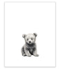"Baby Bear" Print