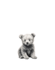 "Baby Bear" Print