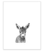 "Baby Donkey" Print