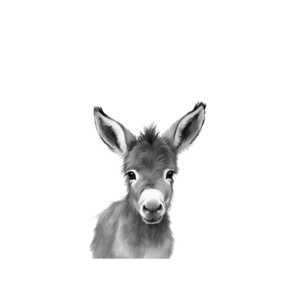 "Baby Donkey" Print