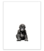 "Baby Gorilla" Print