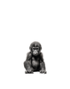"Baby Gorilla" Print