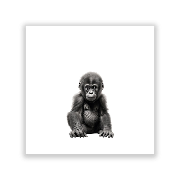 "Baby Gorilla" Print