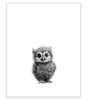 "Baby Owl" Print
