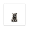 "Baby Raccoon" Print
