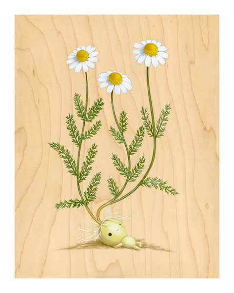 "Emily Chamomile" Print