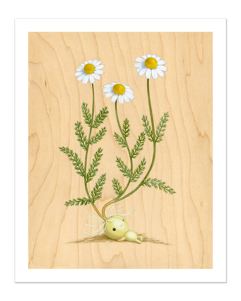 "Emily Chamomile" Print