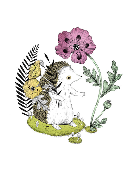 "The Hedgehog" Print