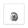 "Baby Hedgehog" Print
