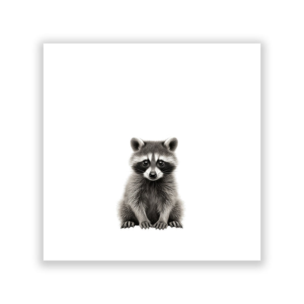 "Baby Raccoon" Print