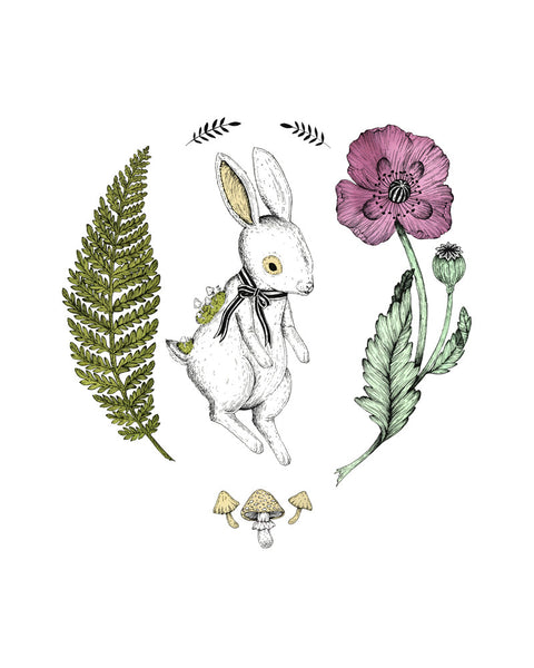 "The Rabbit" Print